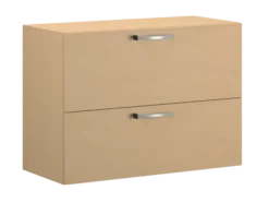 Armoire mélaminé FrameOne II - l. 100 x h. 79 cm - 2 tiroirs dossiers suspendus