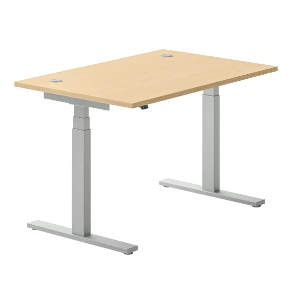 Bureau droit Ergo Up - l. 120 x pr. 80 cm - avec 2 obturateurs - réglage en hauteur électrique
