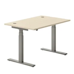 Bureau droit Ergo Up - l. 120 x pr. 80 cm - avec 2 obturateurs - réglage en hauteur électrique