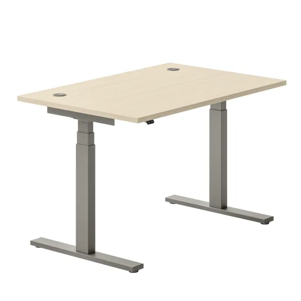 Bureau droit Ergo Up - l. 120 x pr. 80 cm - avec 2 obturateurs - réglage en hauteur électrique