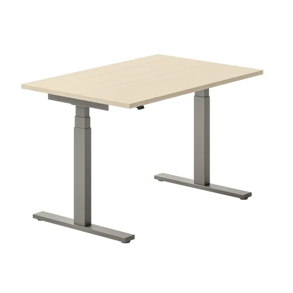 Bureau droit Ergo Up - l. 120 x pr. 80 cm - sans obturateur - réglage en hauteur électrique