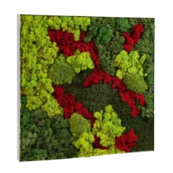 Cadre végétal mural CV12 vert/rouge - 60 x 60 cm