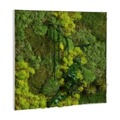 Cadre végétal mural CV19 vert - 60 x 60 cm