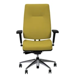 Fauteuil de bureau Edgar - cuir