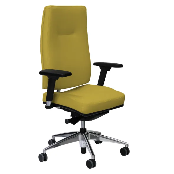 Fauteuil de bureau Edgar - cuir