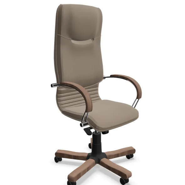 Fauteuil de bureau Nova - cuir