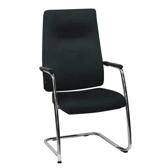 Fauteuil visiteur Edgar - cuir