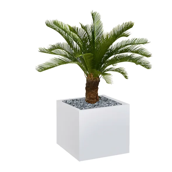 Jardinière métallique Carre - h. 38 cm - avec palmier