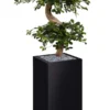 Jardinière métallique O'Carré - l. 38 x h. 158 x pr. 38 cm - avec bonsaï