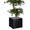 Jardinière métallique O'Carré - l. 38 x h. 116 x pr. 38 cm - avec bonsaï