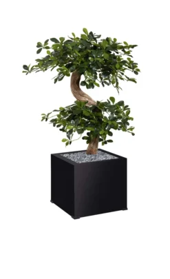 Jardinière métallique O'Carré - l. 38 x h. 116 x pr. 38 cm - avec bonsaï