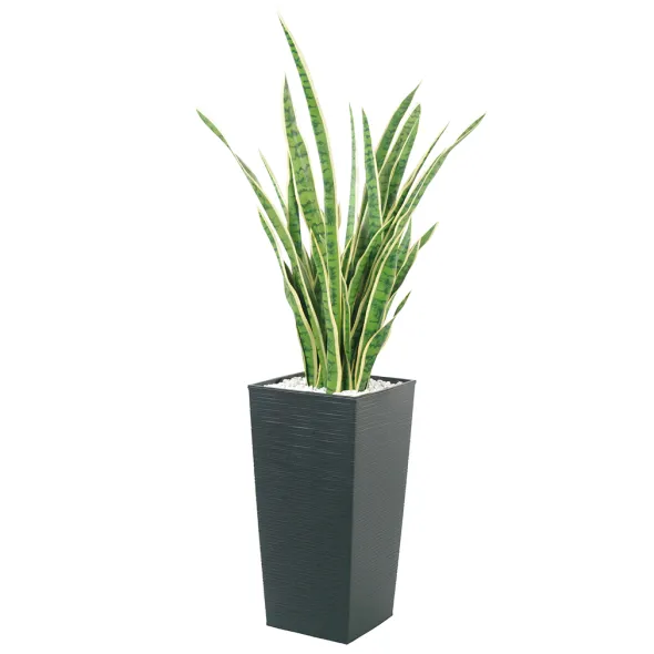 Jardinière polypropylène - l. 30 x h. 57 x pr. 30 cm - avec plante Sanseveria h. 92 cm
