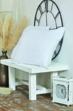Oreiller 60 x 60 cm - coton - classe E - lot de 10