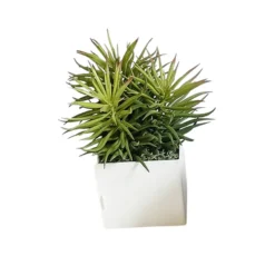 Pot métal à poser Ti'Cub - l. 7 x h. 13 x pr. 7 cm - avec senecio - bac h. 7 cm