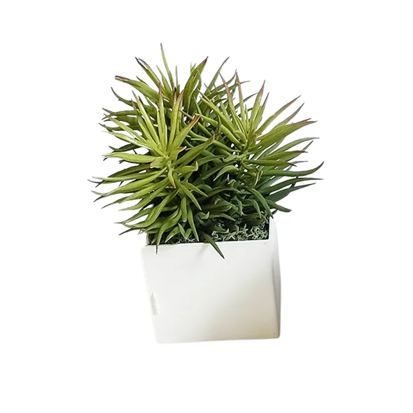 Pot métal à poser Ti'Cub - l. 7 x h. 13 x pr. 7 cm - avec senecio - bac h. 7 cm